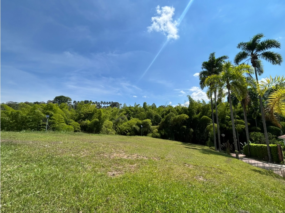 Venta Lote Campestre San Bernardo del Viento, Manizales Cod 10259694 — foto 3