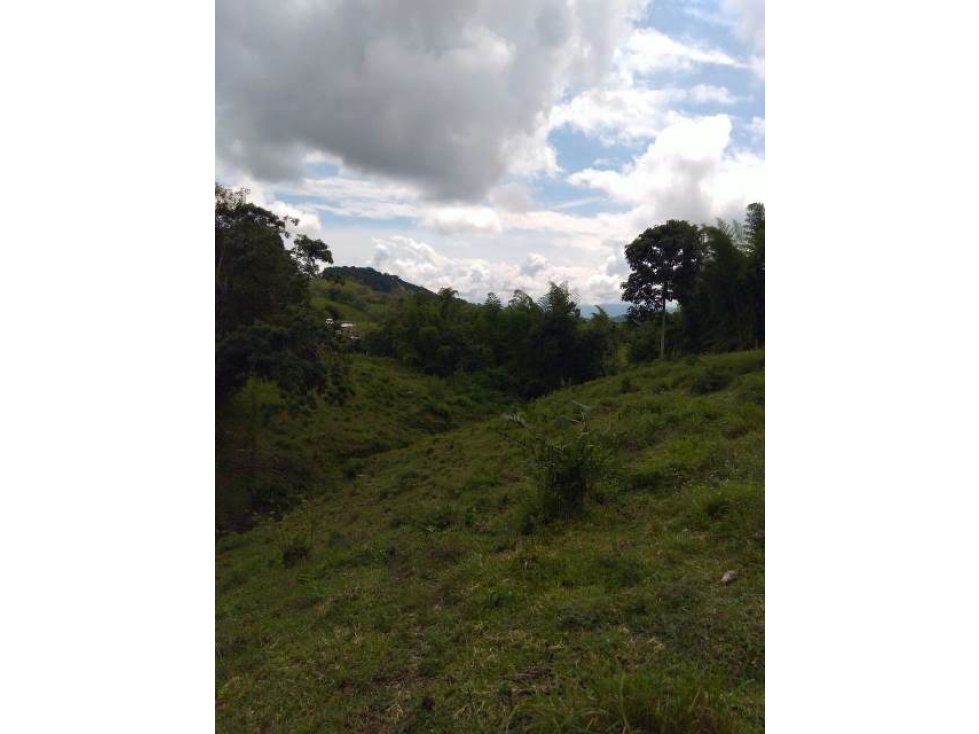 Venta lote, Arauca, Manizales Cod 731501 - 5