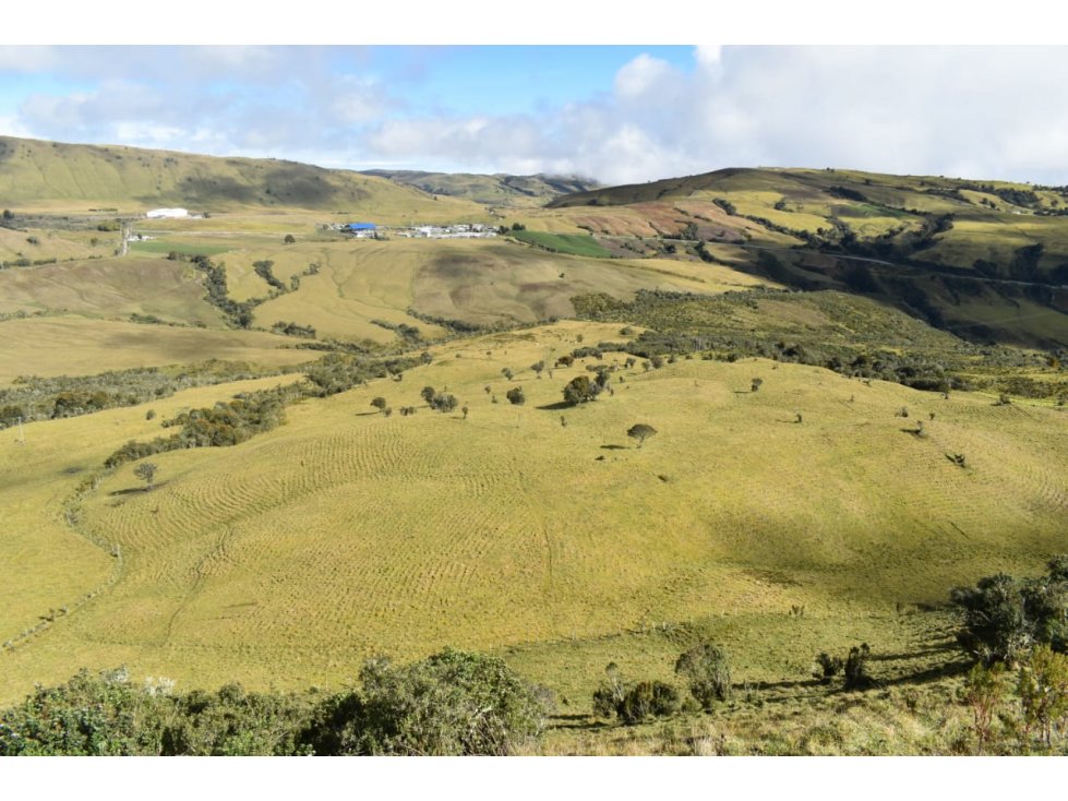 Venta Finca Paramo de Letras Manizales, Cod 4209791