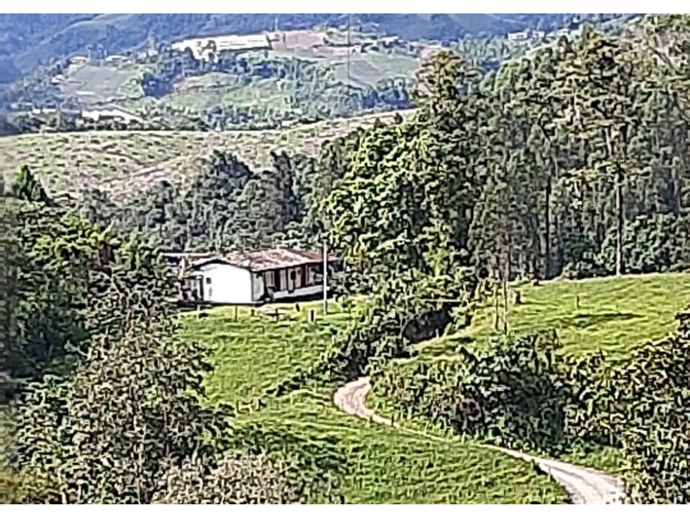 Venta Finca en el Sector Valles, Villamaría, Caldas Código 4876804 - 2