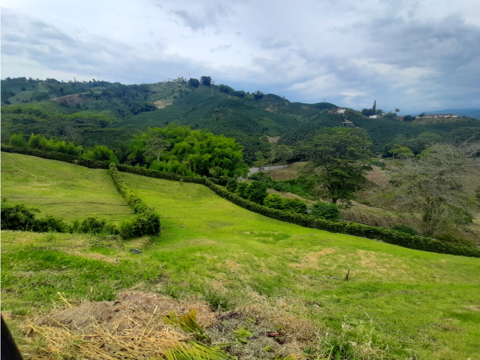 Venta Lote Conjunto Campestre en Chinchiná Cod 5204143 - 5