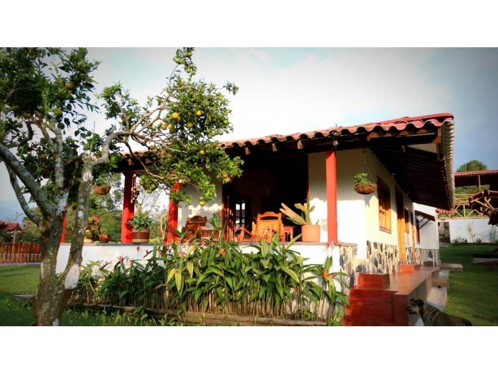 Venta Finca Chichina Caldas, Código 6219030 — foto 3