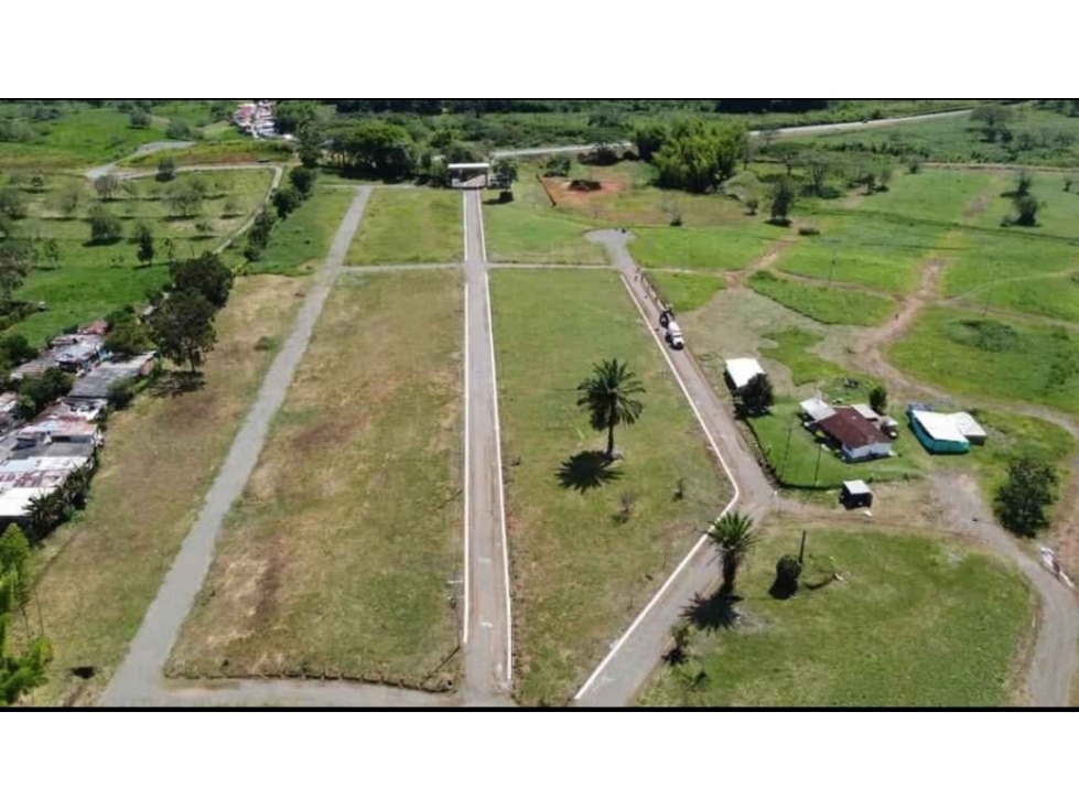 Venta Lote campestre, Risaralda, Caldas COD 9073777 - 5