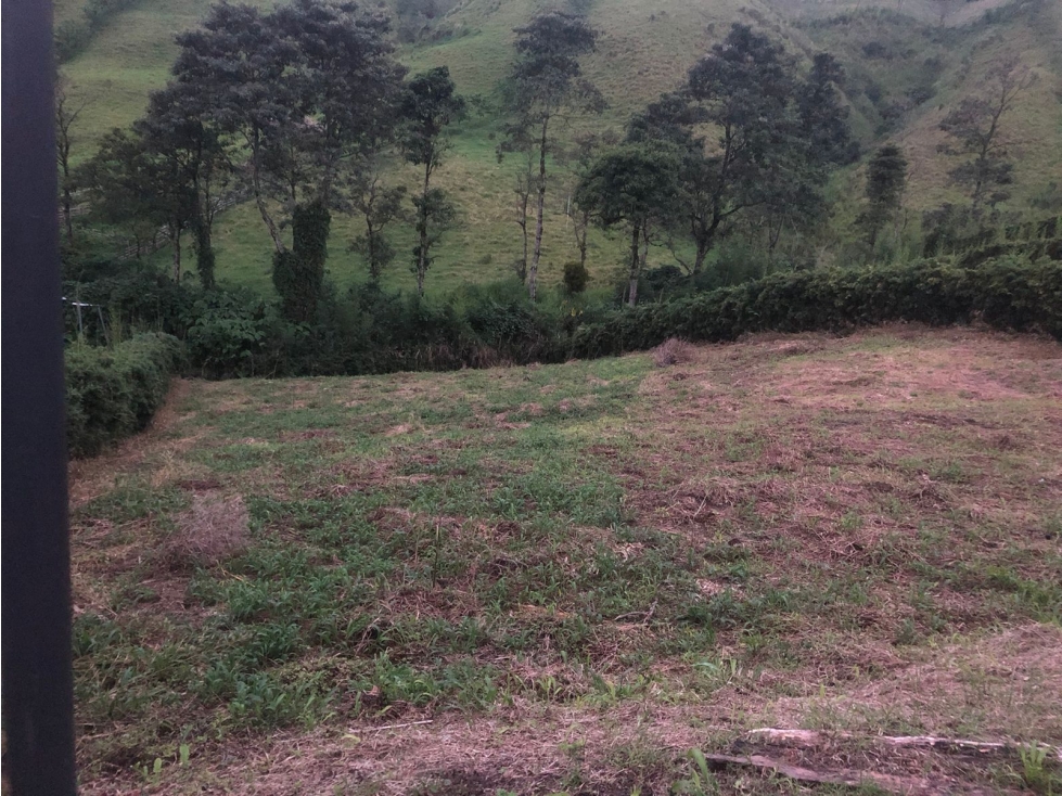Venta lote campestre Chinchiná, Caldas COD 9075750 - 2