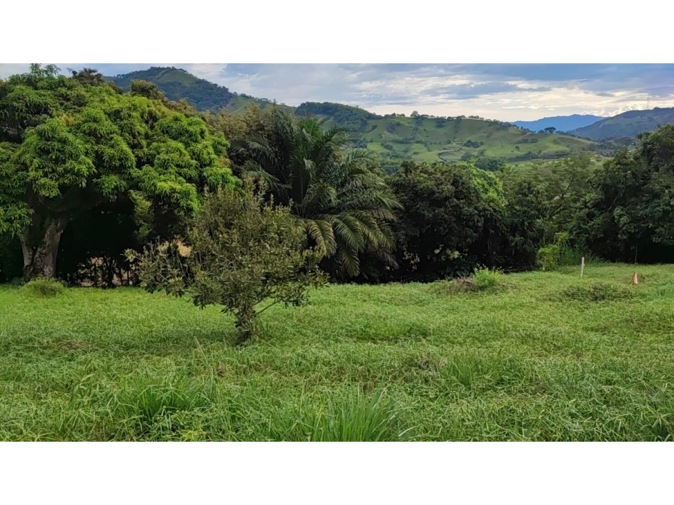 Venta Lote en Santagueda, Palestina COD. 9450715