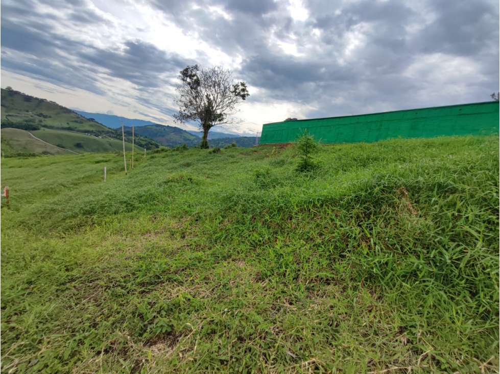Venta Lote en Santagueda, Palestina COD. 9451449