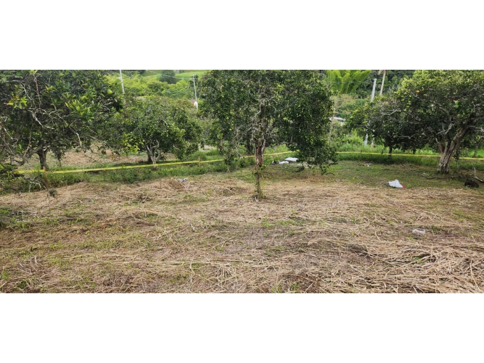 Venta Lote Las Margaritas, Manizales Cod 9895767 — foto 4