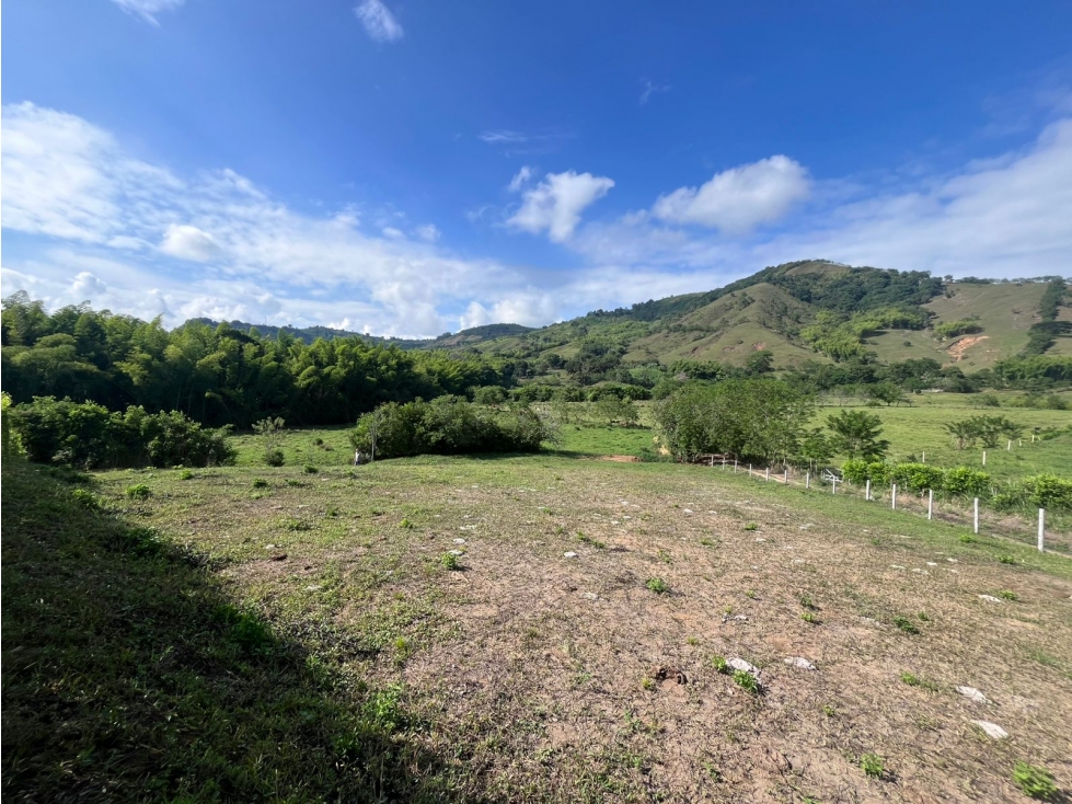 Venta Lote Campestre Santagueda, Palestina Cod 10359953 - 5