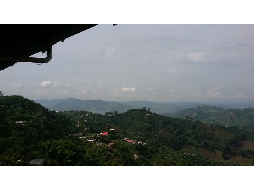 Venta finca via a La Cabaña vrda el chuzo, Manizales, CÓD 542808 — foto 4