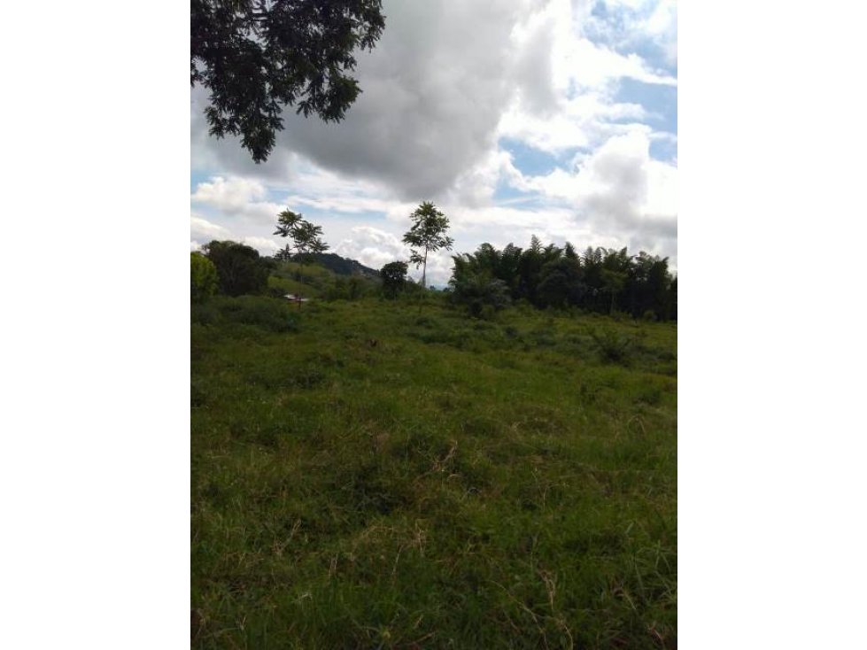 Venta lote, Arauca, Manizales Cod 731501 - 6