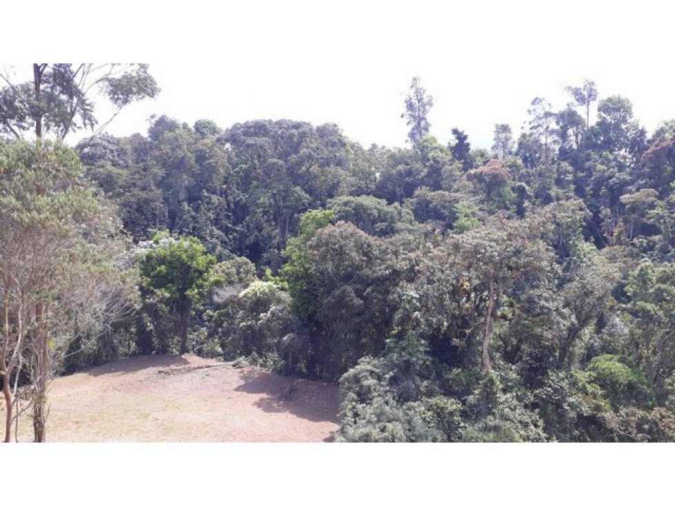 Venta lote en el Trebol,Manizales. Cod:1044239 — foto 3