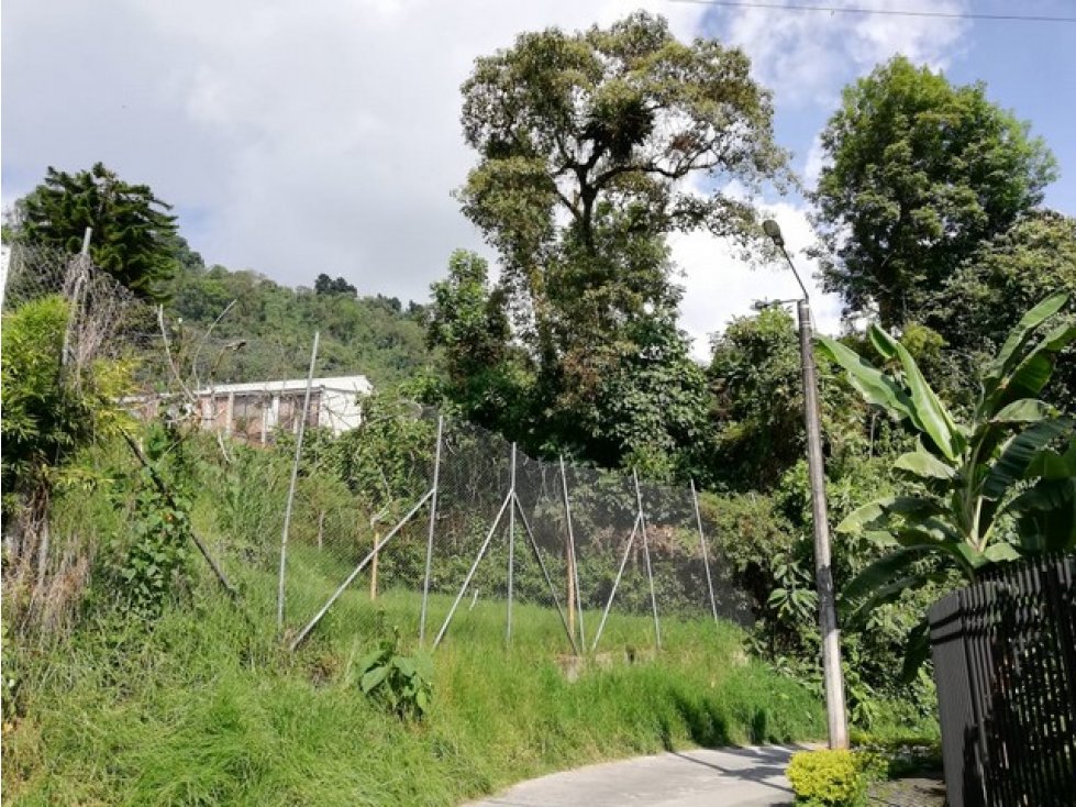Venta Lote en La Francia, Manizales. Cod: 1110802 — foto 4
