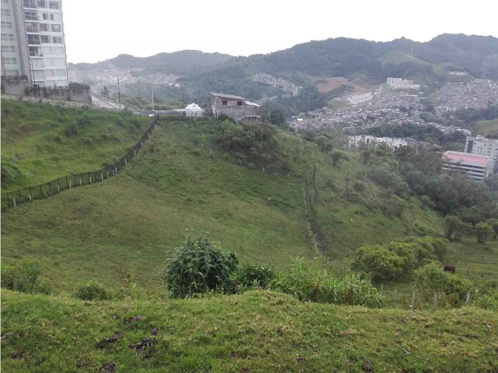 Venta Lote, Cerro de Oro, Manizales Cod 3970998 — foto 6