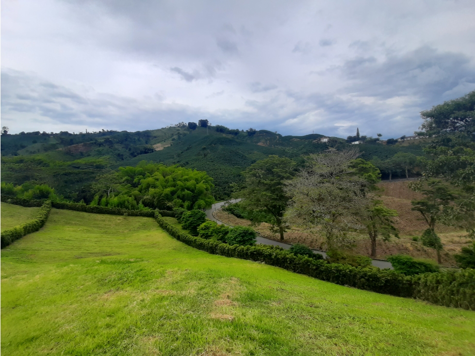 Venta Lote Conjunto Campestre en Chinchiná Cod 5204143 - 6