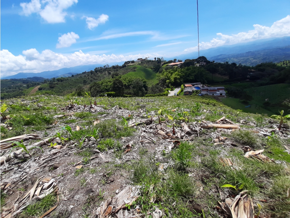 Vendo lote en Santagueda, Palestina cód.5438045 — foto 6