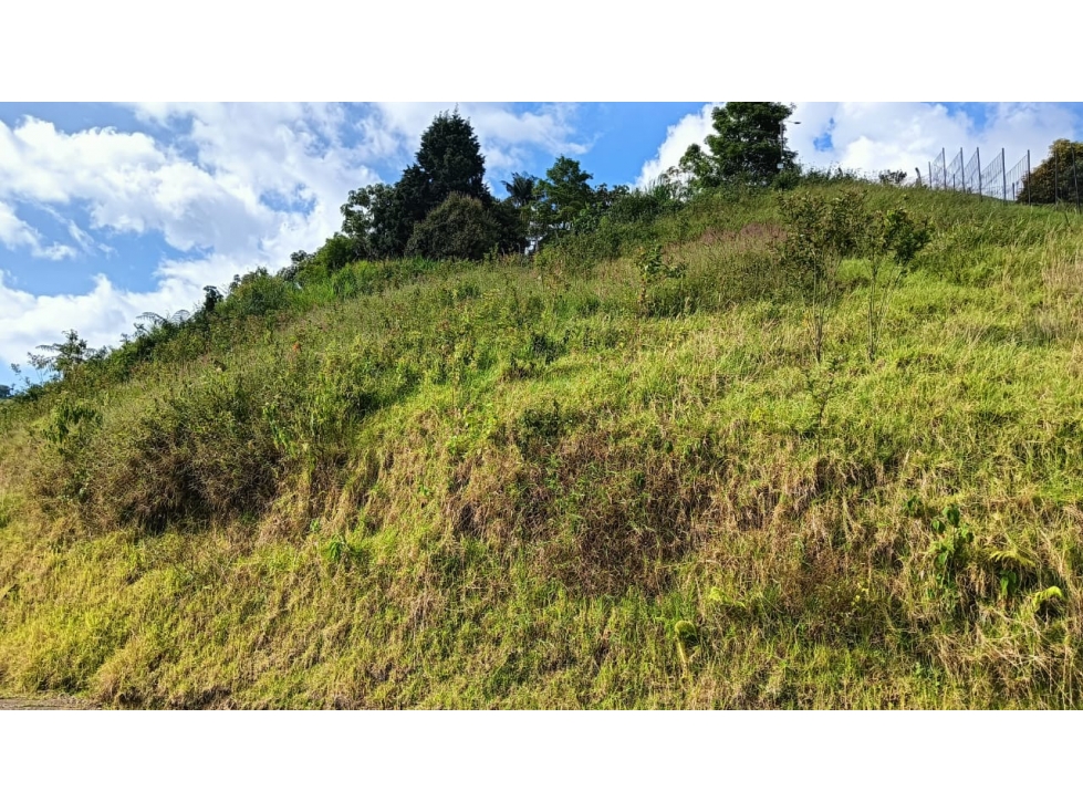 Venta Lote en Conjunto Alhambra, Manizales COD 8167840 — foto 4