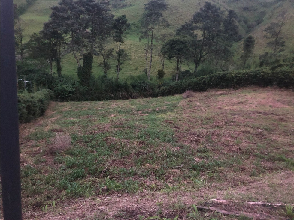 Venta lote campestre Chinchiná, Caldas COD 9075750 - 4