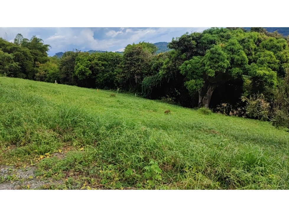 Venta Lote en Santagueda, Palestina COD. 9450715 — foto 2