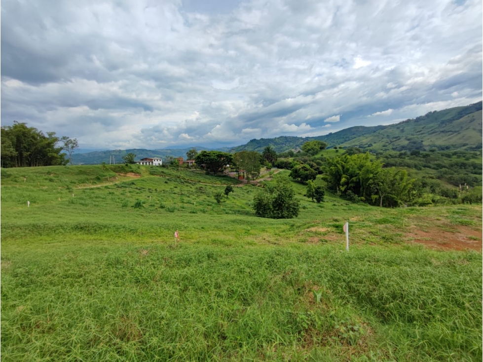 Venta Lote en Santagueda, Palestina COD. 9451367