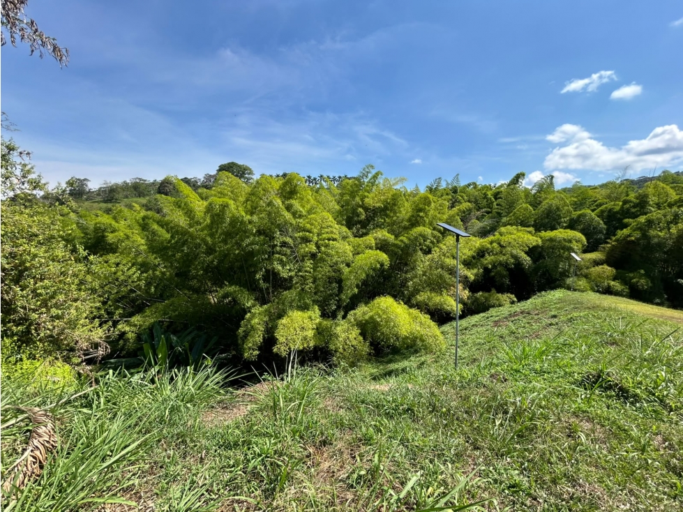 Venta Lote Campestre San Bernardo del Viento, Manizales Cod 10259694 — foto 5
