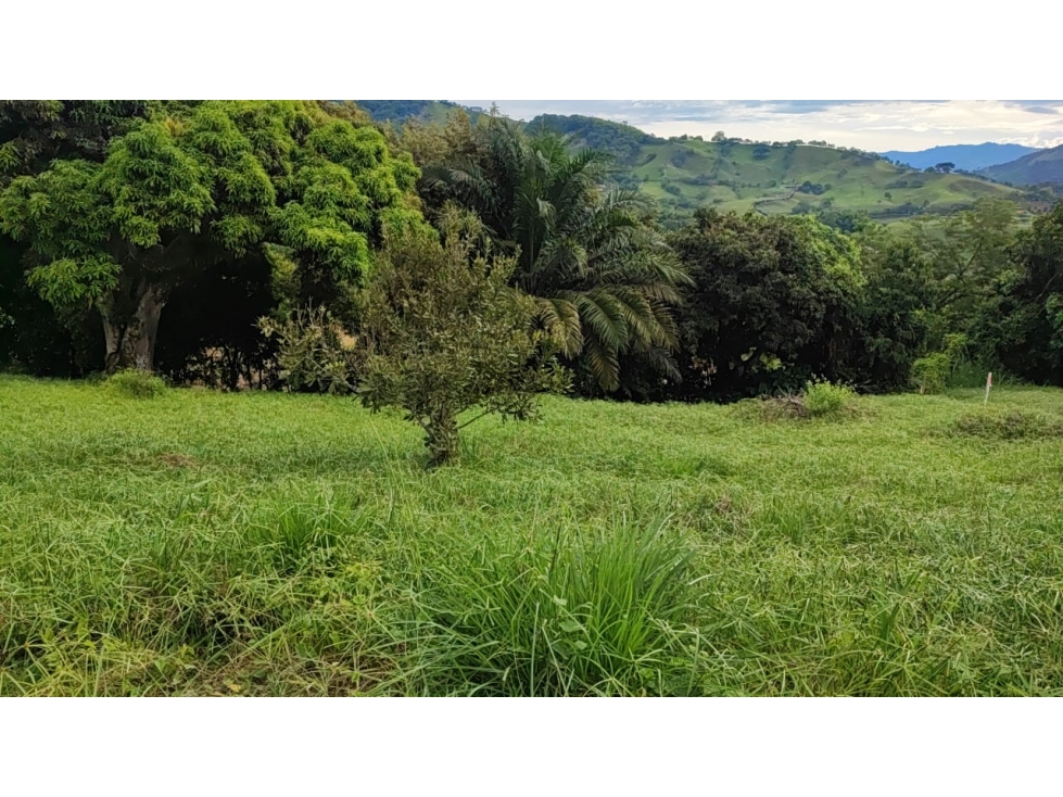 Venta Lote en Santagueda, Palestina COD. 9450715 — foto 4