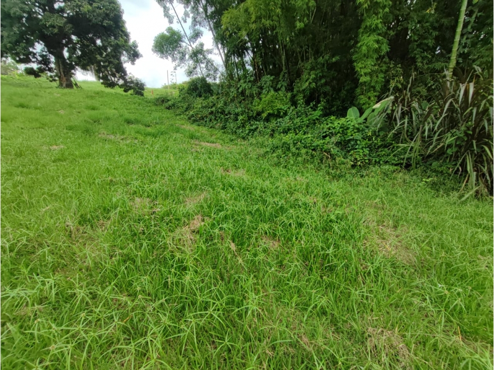 Venta Lote en Santagueda, Palestina COD. 9450821 — foto 4