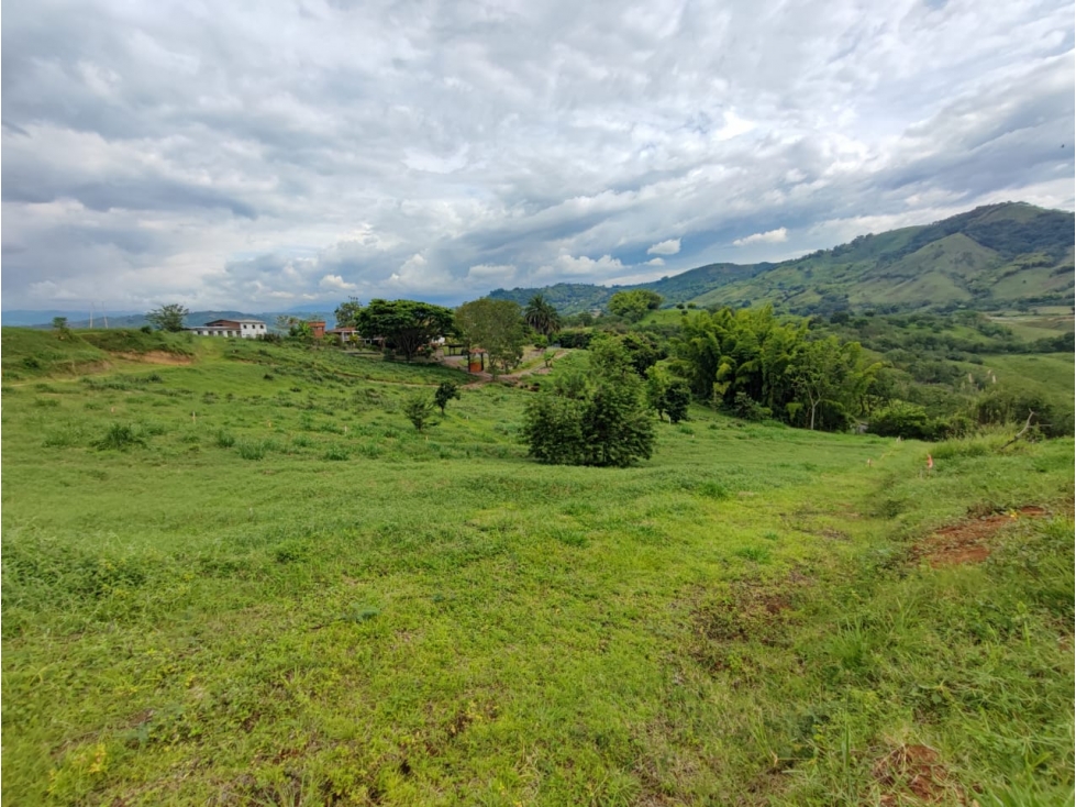 Venta Lote en Santagueda, Palestina COD. 9451367 — foto 2