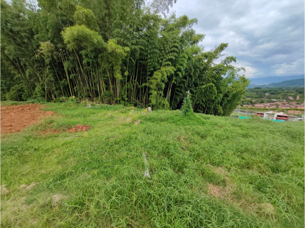 Venta Lote en Santagueda, Palestina COD. 9451427 — foto 2