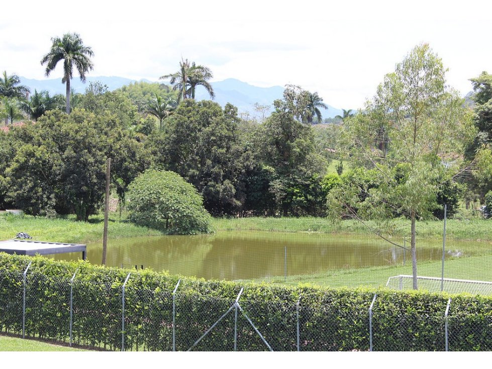 Venta Lote en Santagueda, Palestina. Cod 2345408 - 4