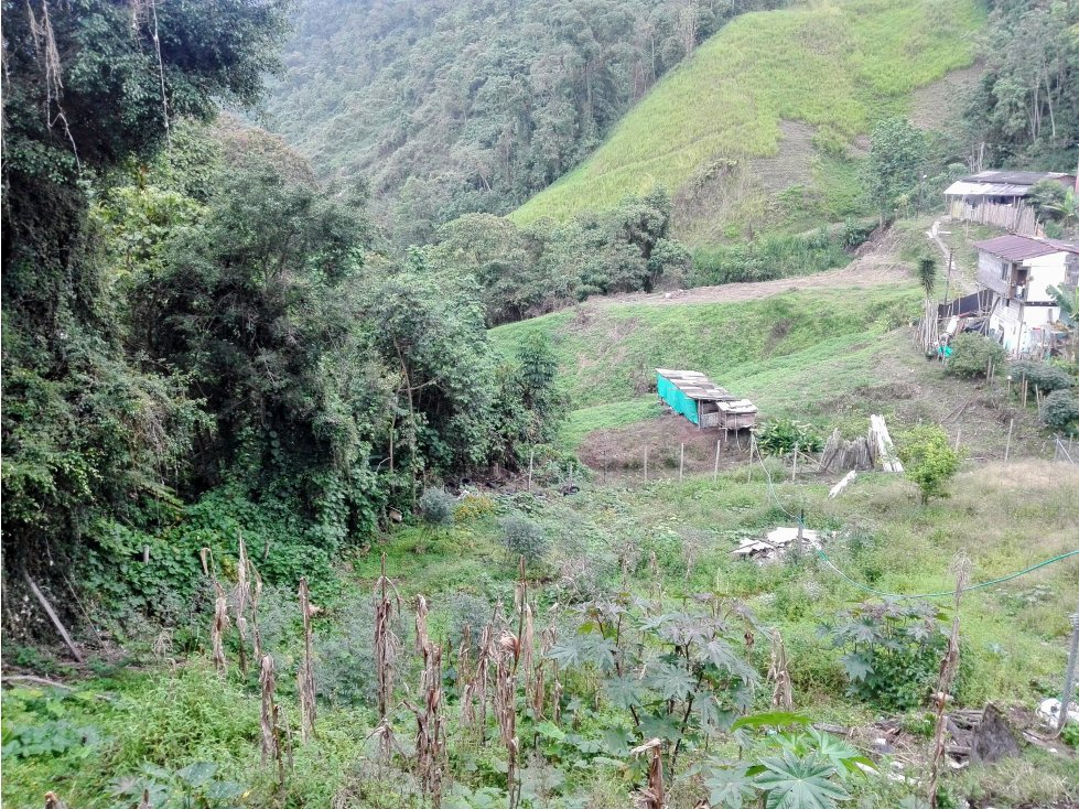 Venta Lote en La Francia, Manizales. Cod: 2955022 — foto 2