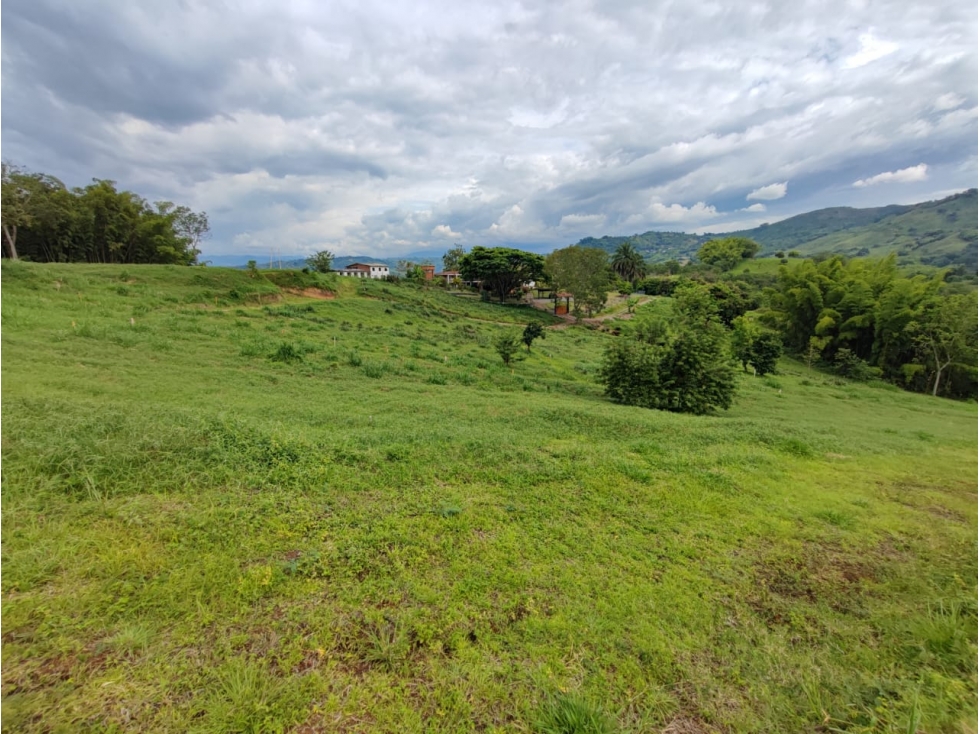 Venta Lote en Santagueda, Palestina COD. 9451367 — foto 4