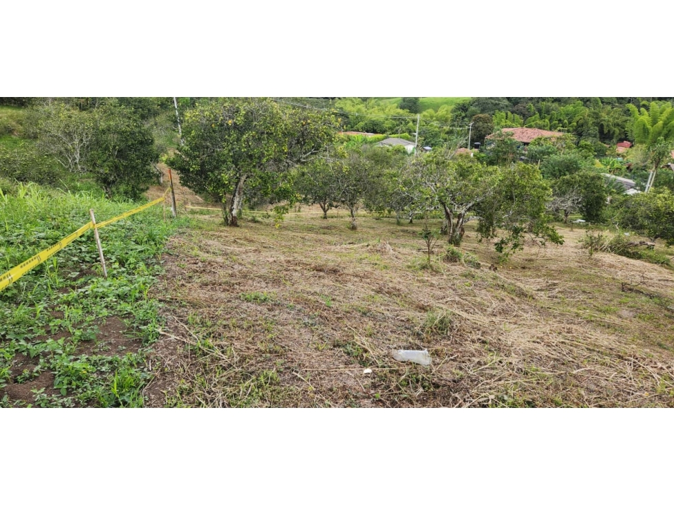 Venta Lote Las Margaritas, Manizales Cod 9895767 — foto 6