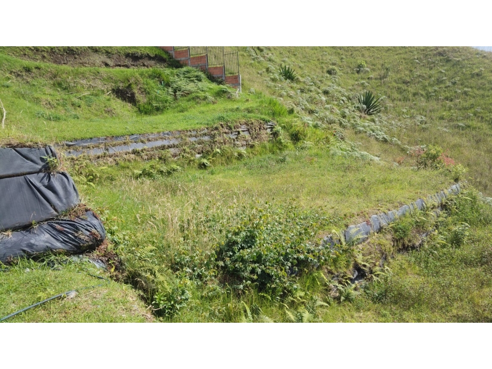 Venta Lote En Conjunto Cerro de Oro, Manizales Cod 10116493 — foto 2