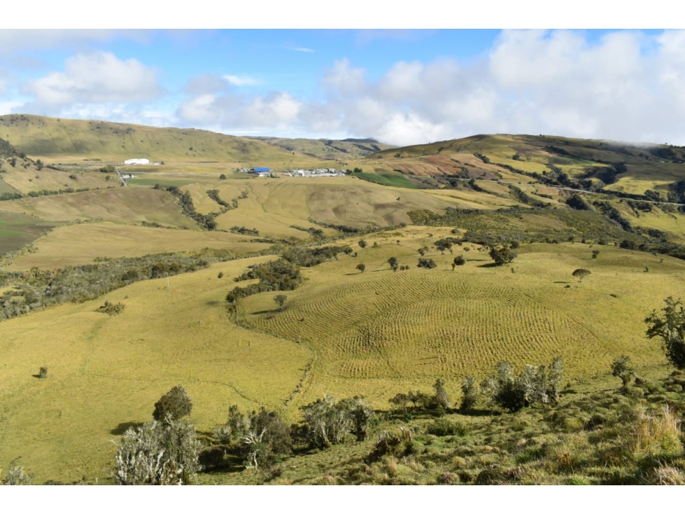 Venta Finca Paramo de Letras Manizales, Cod 4209791 — foto 4