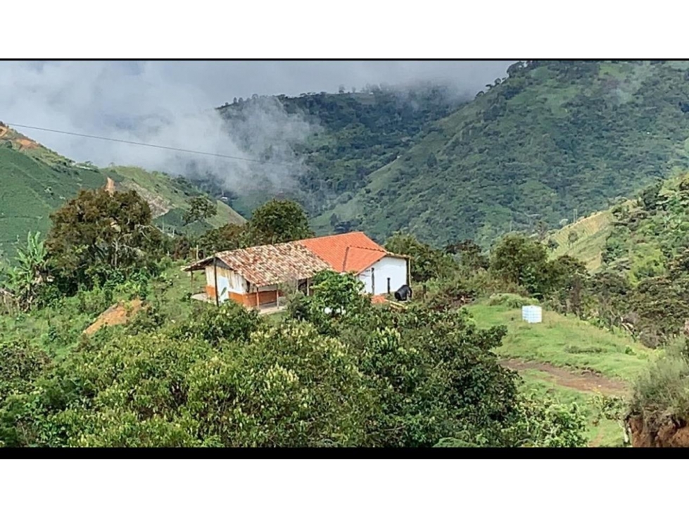 Venta finca productiva Abejorral Oriente Antioqueño — foto 2