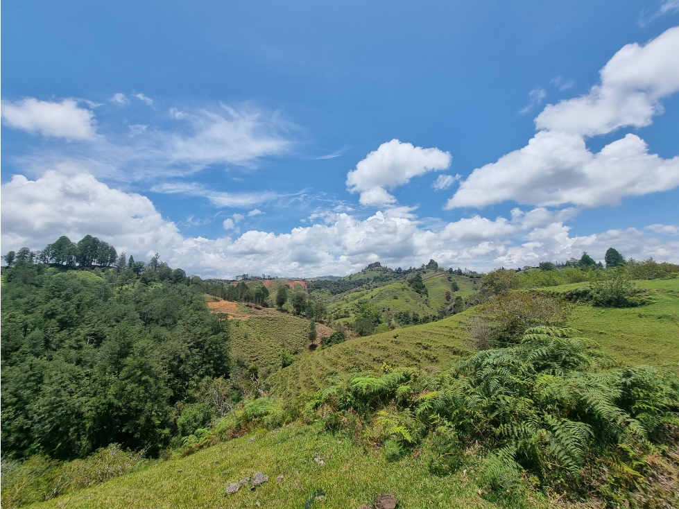 Venta Lote Guatapé Antioquia ideal para inversionistas — foto 4