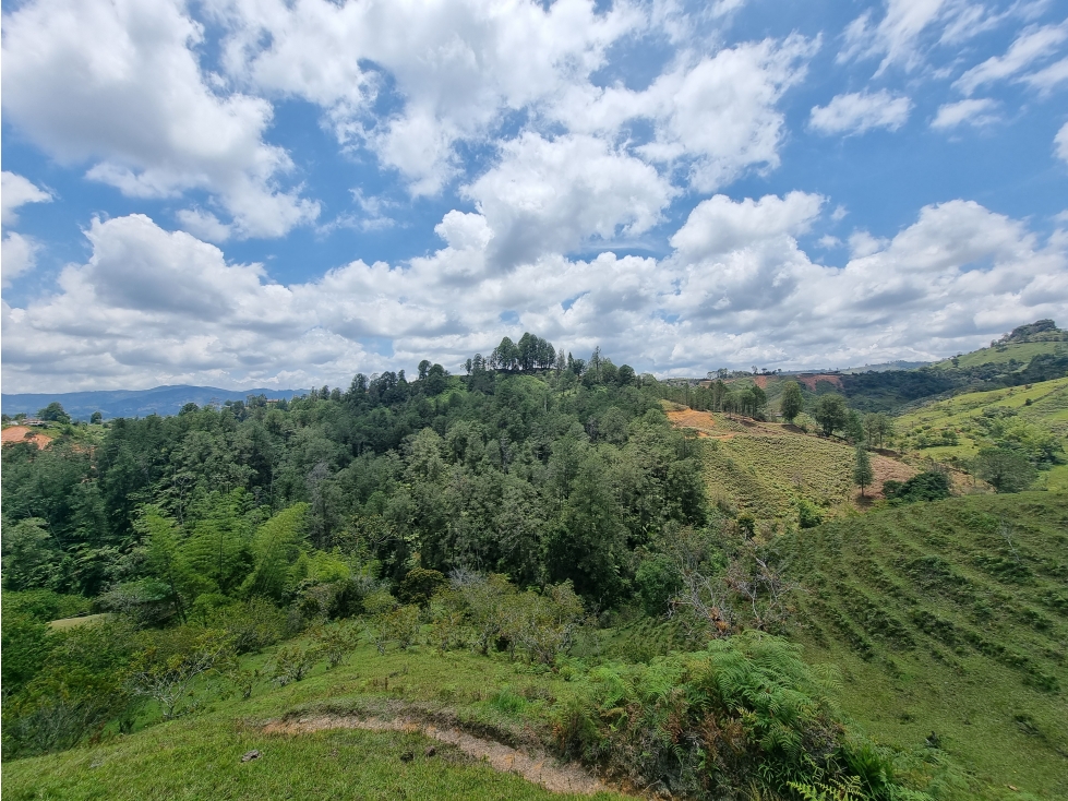 Venta Lote Guatapé Antioquia ideal para inversionistas — foto 5
