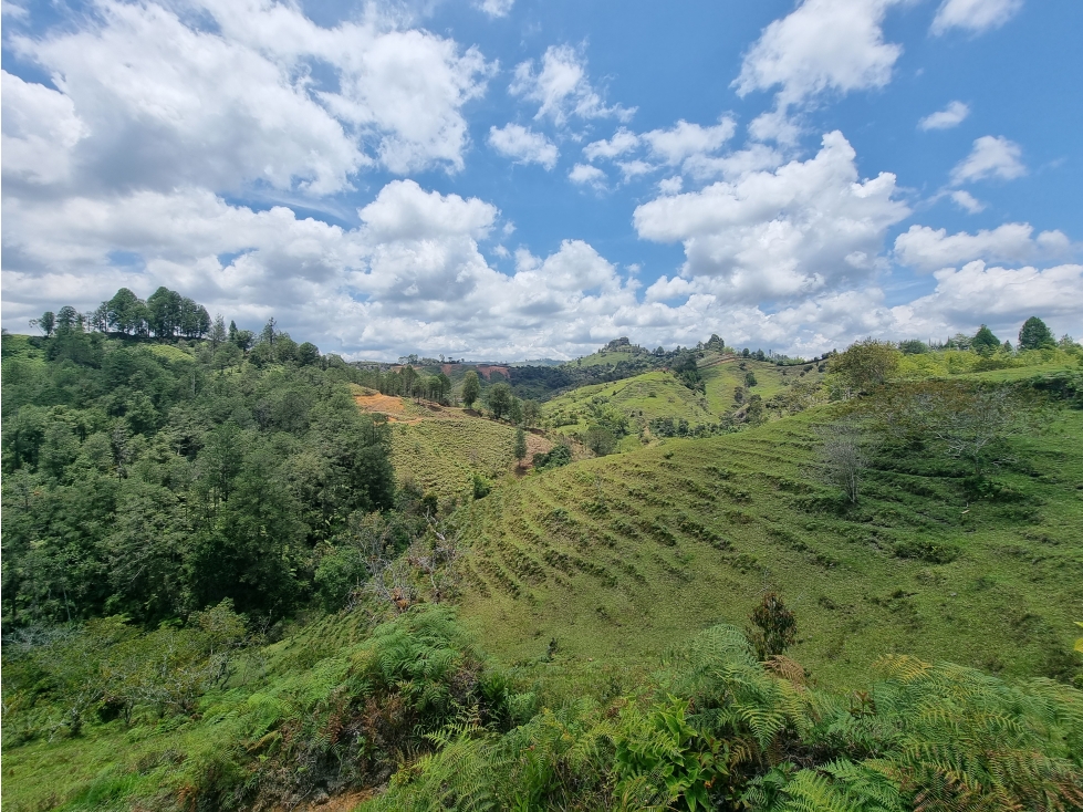 Venta Lote Guatapé Antioquia ideal para inversionistas — foto 6