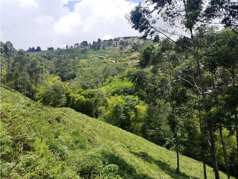 Venta Lote Vereda el Jardín Medellín — foto 3