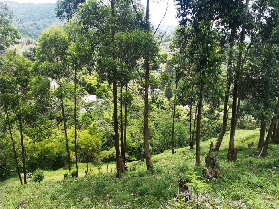 Venta Lote Vereda el Jardín Medellín — foto 4
