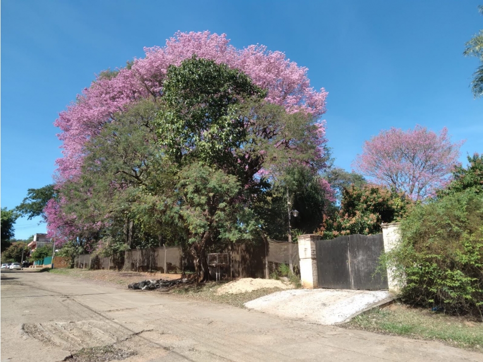 Terreno 2.800 m2 Zona CIT en esquina - 6
