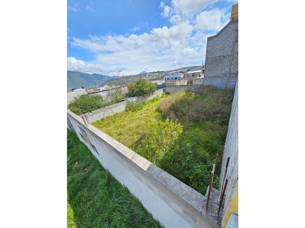 INMOPI VENDE TERRENO PLANO, SAN JUAN DE CALDERÓN IPN 0146 — foto 3