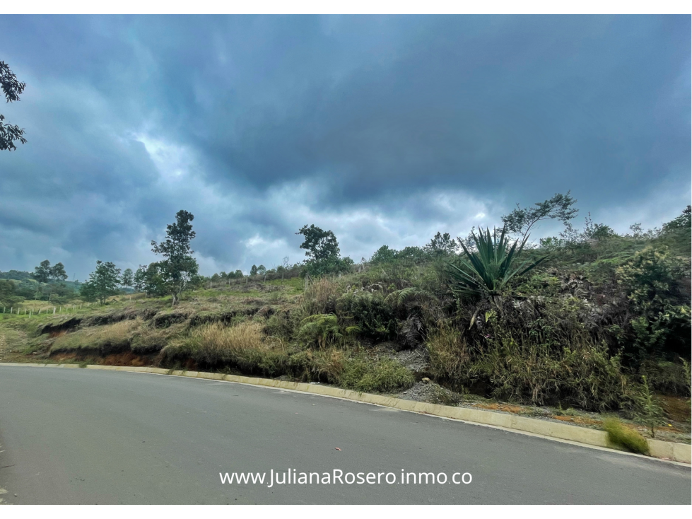 VENDO/PERMUTO 2 HECTAREAS VÍA A TOTORÓ (HERMOSA VISTA) — foto 6
