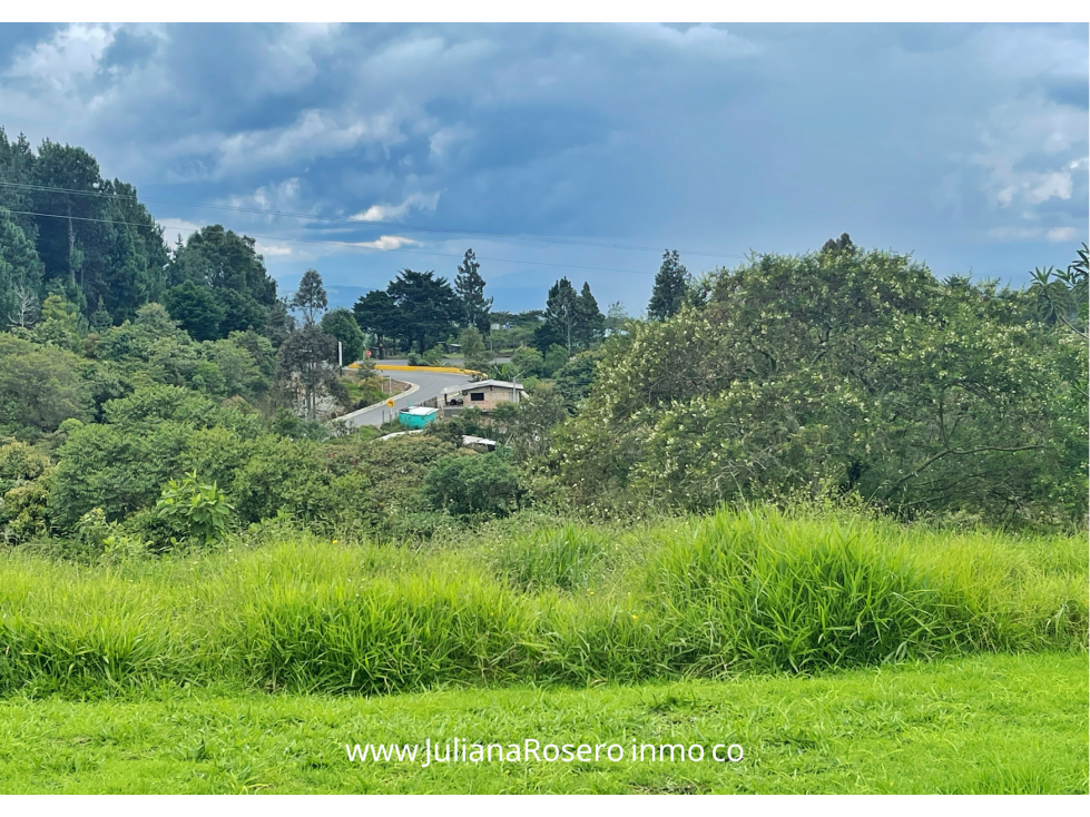 VENDO/PERMUTO 2 HECTAREAS VÍA A TOTORÓ (HERMOSA VISTA) — foto 5