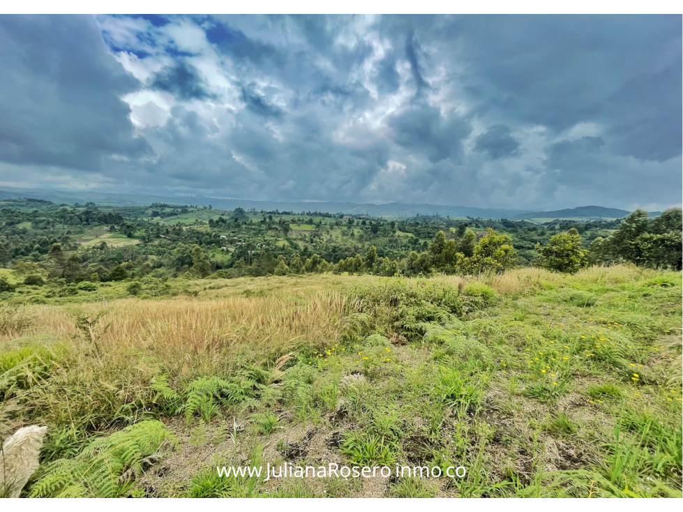 VENDO/PERMUTO 2 HECTAREAS VÍA A TOTORÓ (HERMOSA VISTA) — foto 2