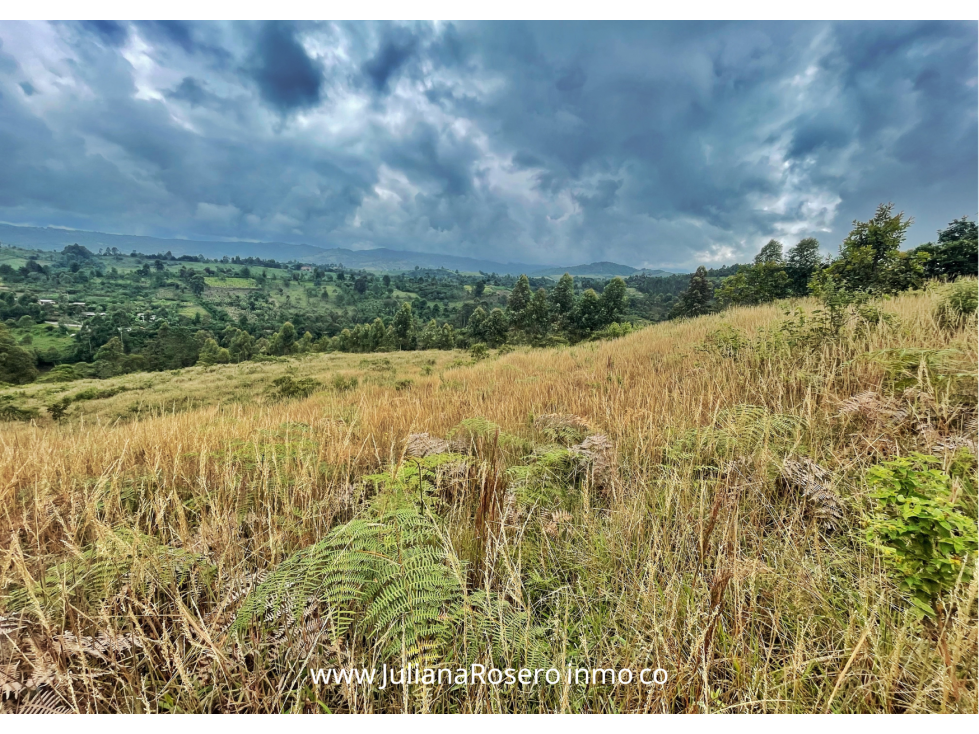 VENDO/PERMUTO 2 HECTAREAS VÍA A TOTORÓ (HERMOSA VISTA) — foto 3