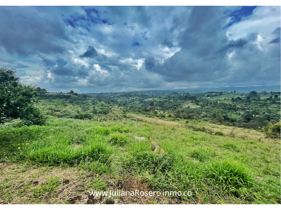 VENDO/PERMUTO 2 HECTAREAS VÍA A TOTORÓ (HERMOSA VISTA) — foto 4
