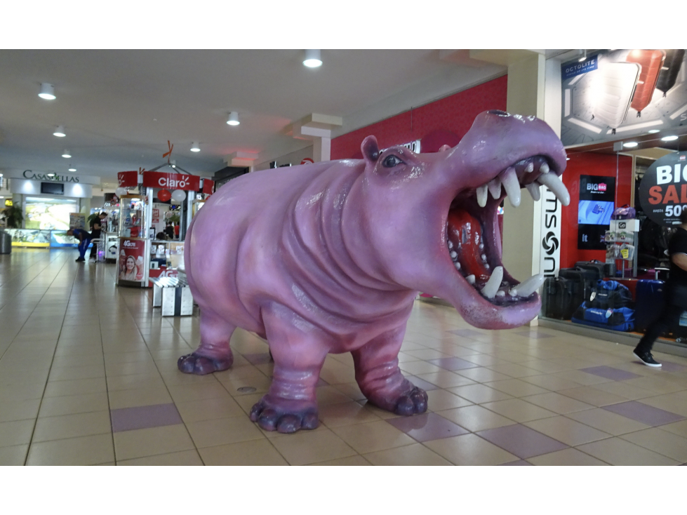 GANGA! LOCAL EN ALBROOK MALL PASILLO DEL HIPOPÓTAMO - 2