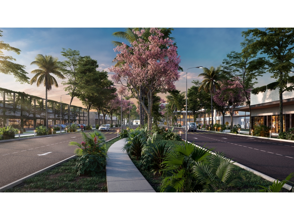 Terrenos Residenciales y Comerciales en Venta en Chicxulub Yucatán - 4