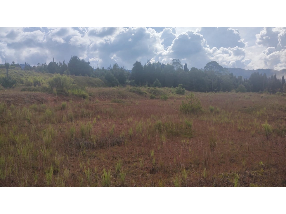 Excelente lote urbanizado en importante Parque Industrial en Guarne — foto 6